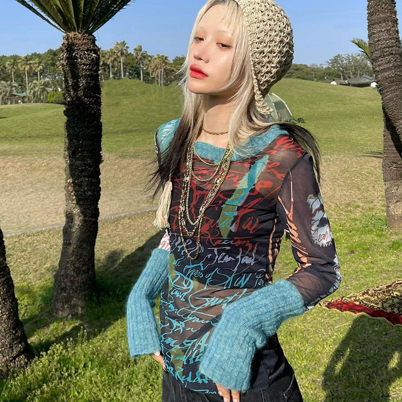 Graphic Mesh Long Sleeve Printed Crop Top